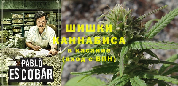 винт Аркадак