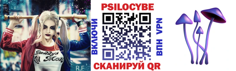 как найти закладки  Сальск  Галлюциногенные грибы Psilocybe 